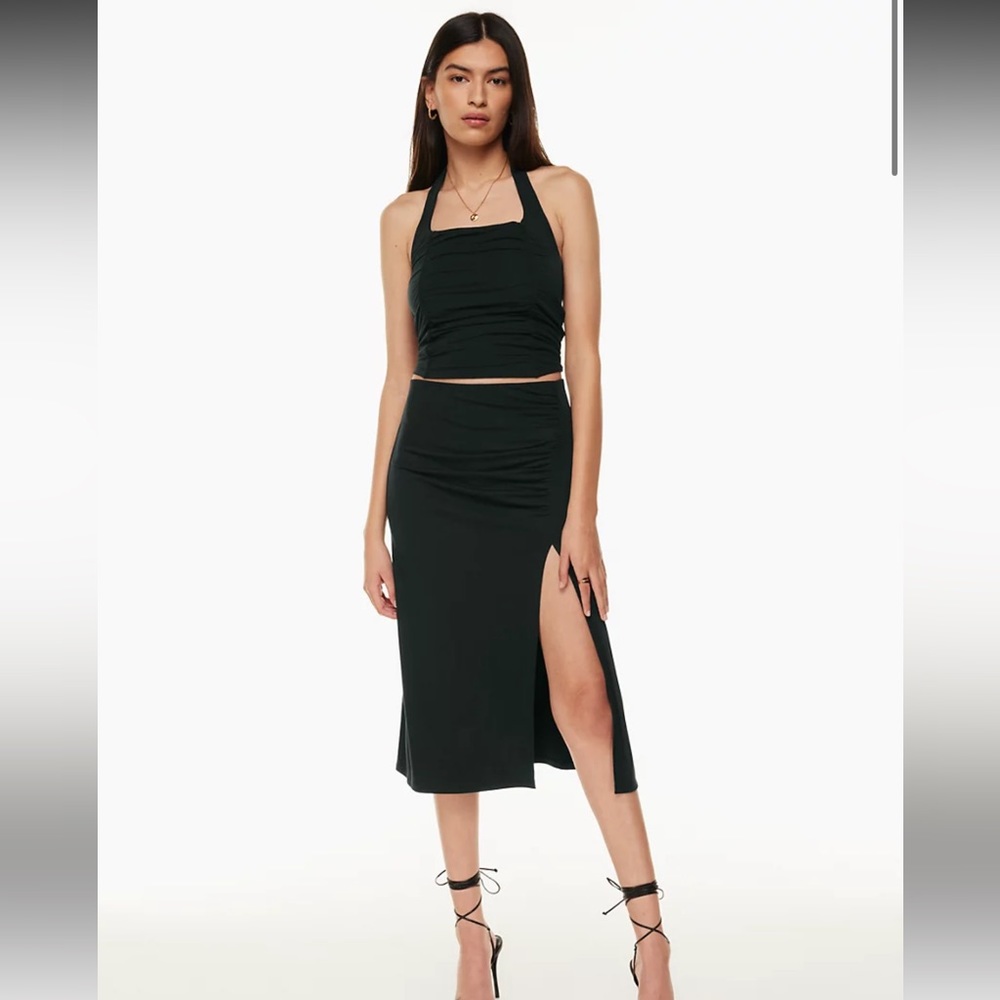 Aritzia Wilfred Vespa Skirt
